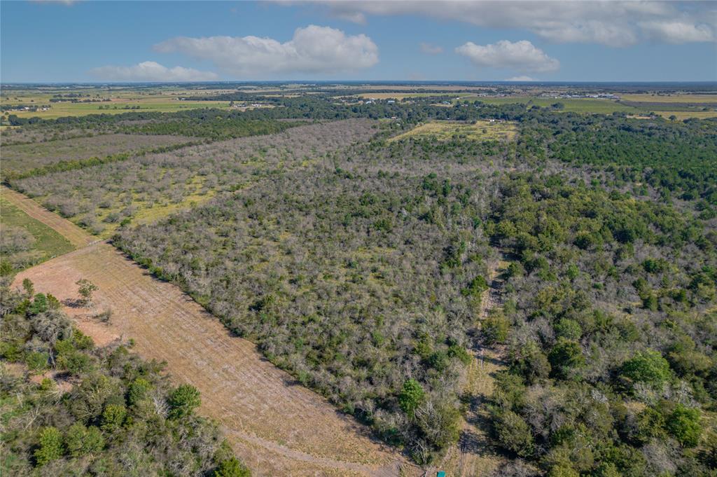 Lisa Mae Road Road , Bellville, Texas image 5