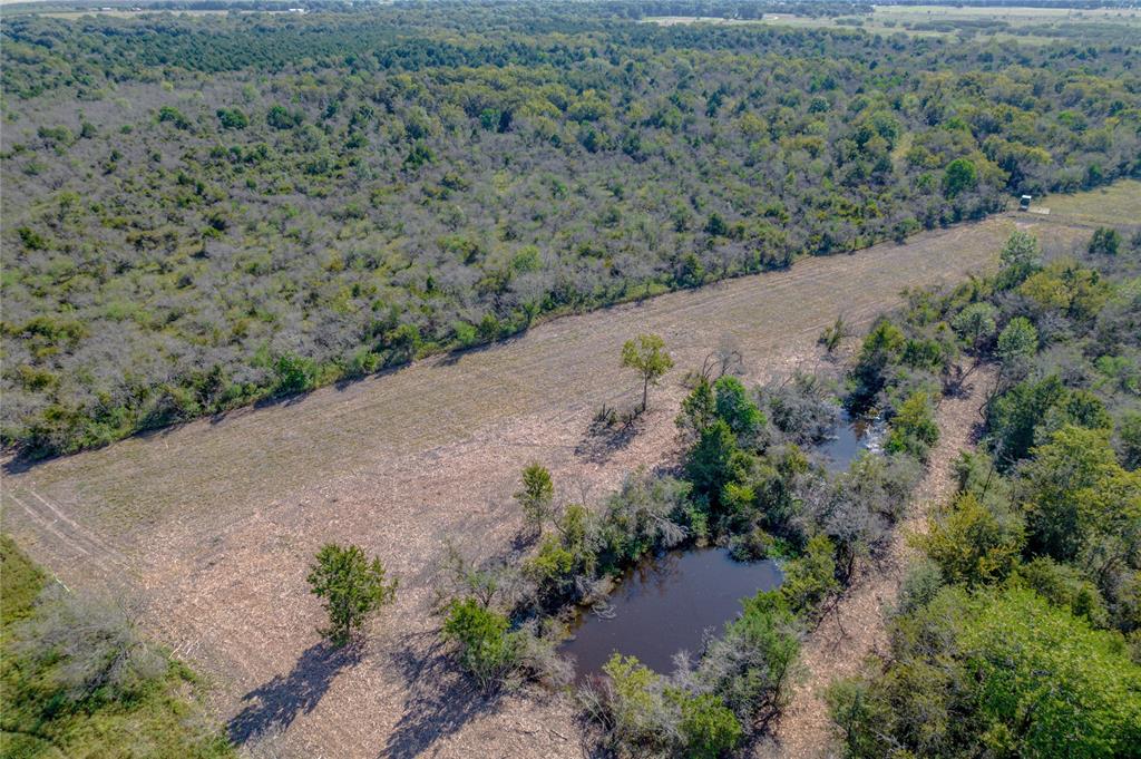 Lisa Mae Road Road , Bellville, Texas image 6