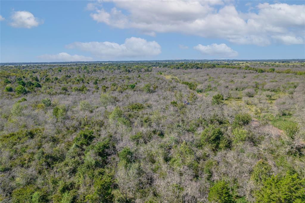 Lisa Mae Road Road , Bellville, Texas image 9