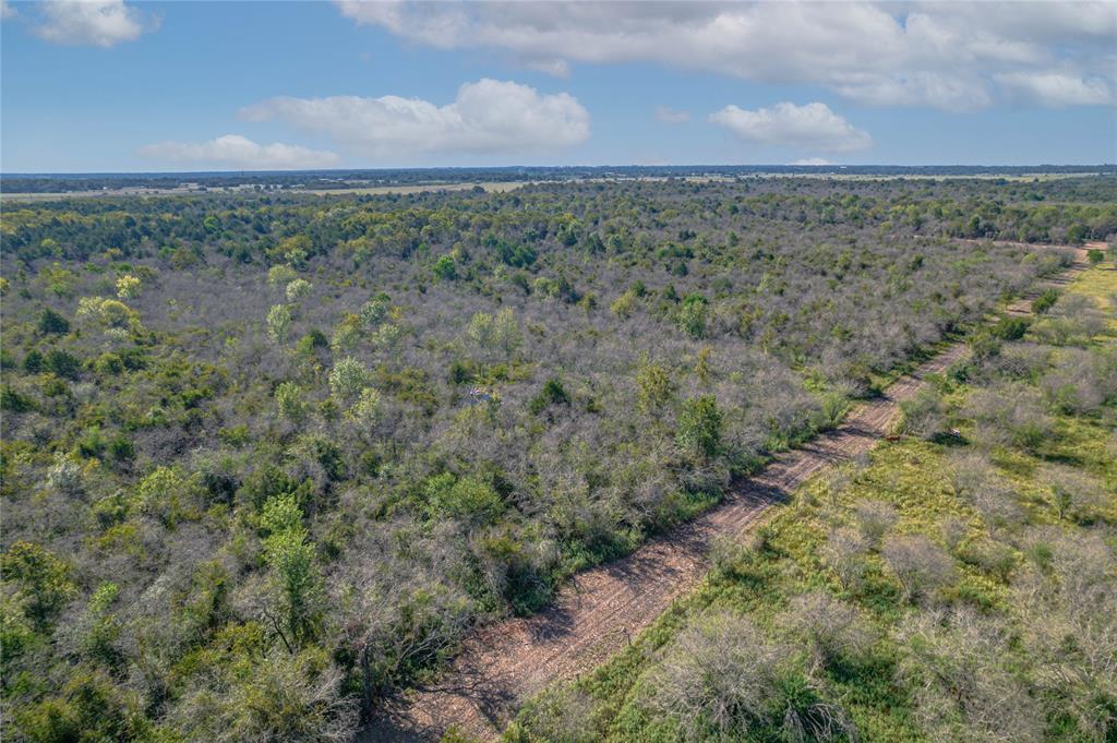 Lisa Mae Road Road , Bellville, Texas image 10