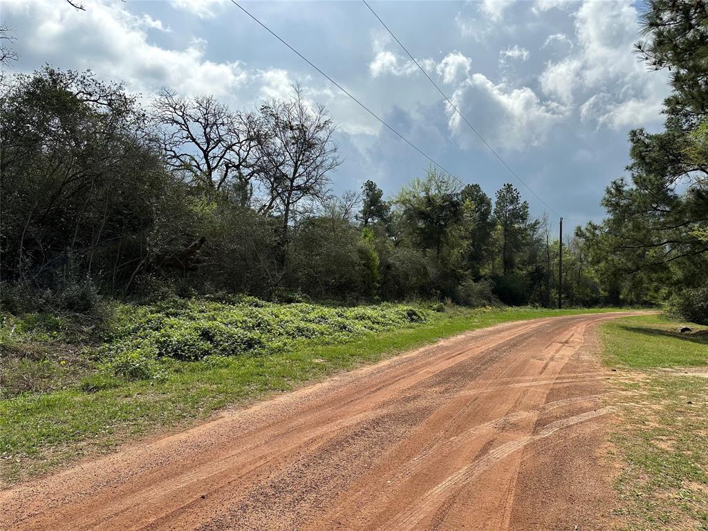 N/A Red Oak Drive , Hempstead, Texas image 11