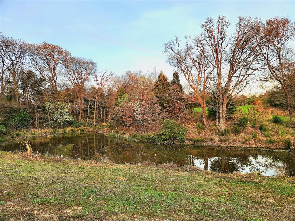 Lot 180 next door is also available for purchase and includes this gorgeous pond at the front of the property. Imagine a total of 4 acres if you purchased both lots!