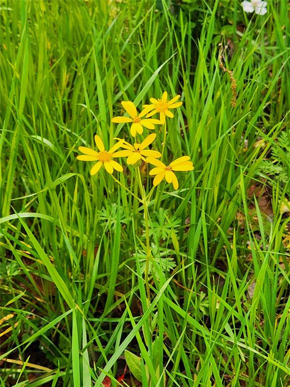 Nature is so pretty and on display at Waters Edge Ranch!