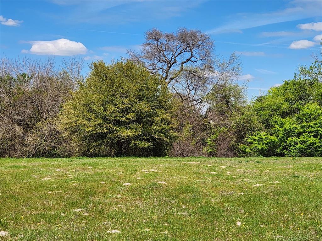 There are beautiful tree line long the front and back of this lot.