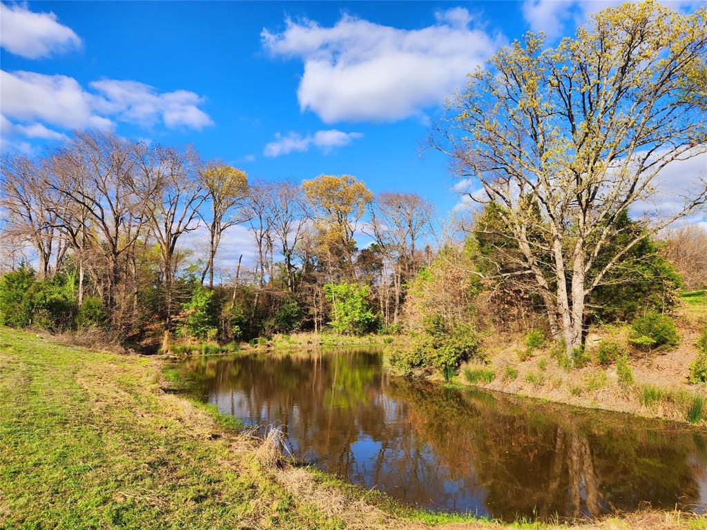 Lot 180 with this pretty pond is also available next door. That means you could buy both and have over 4 acres of building options.