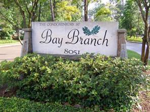 8051 Bay Branch, The Woodlands, TX, 77382