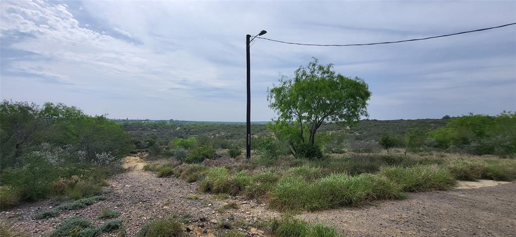 00 Tin Circle , Roma, Texas image 4