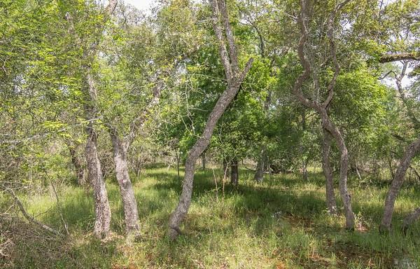 Tract 1 Farm Market 530  , Edna, Texas image 7