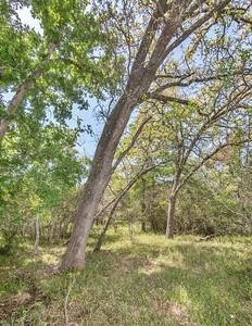 Tract 1 Farm Market 530  , Edna, Texas image 9