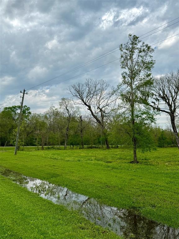 1126 Cheyenne Ridge Drive , Rosharon, Texas image 6