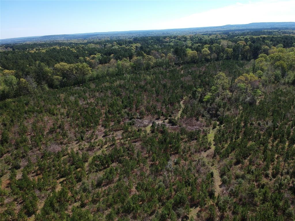 TBD County Road 2109  , Rusk, Texas image 12