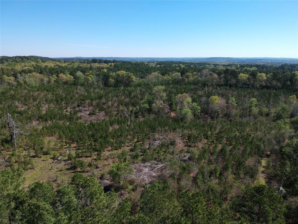 TBD County Road 2109  , Rusk, Texas image 13