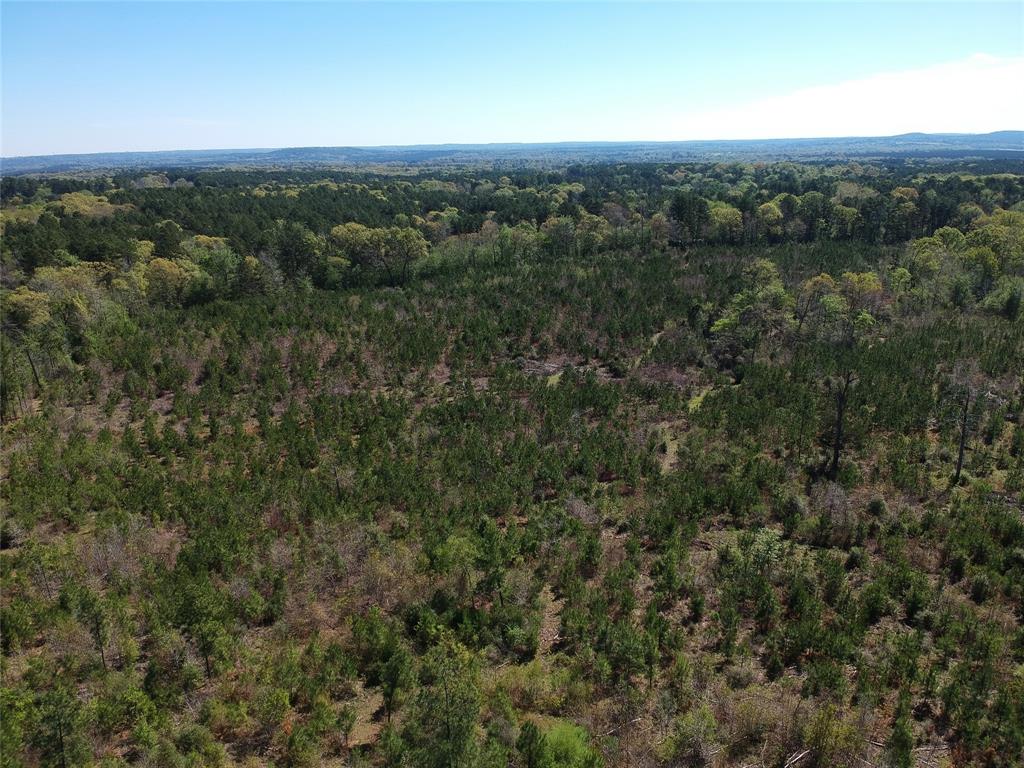 TBD County Road 2109  , Rusk, Texas image 14