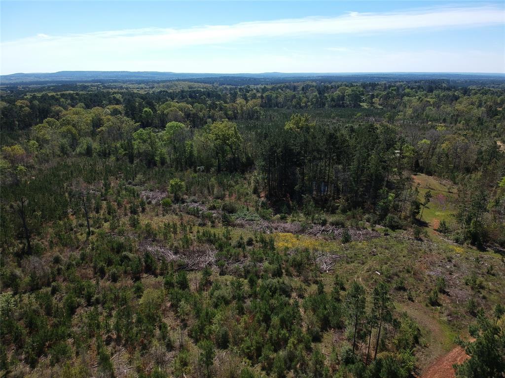 TBD County Road 2109  , Rusk, Texas image 15