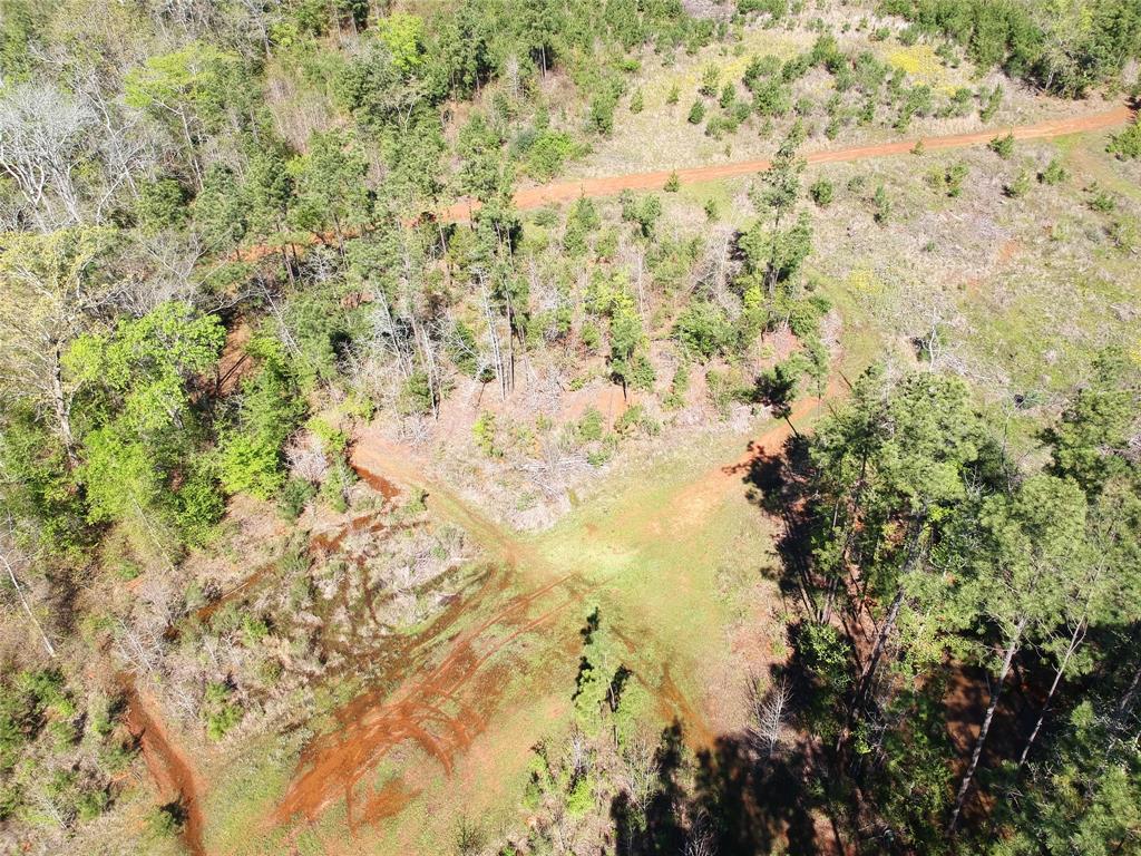 TBD County Road 2109  , Rusk, Texas image 17