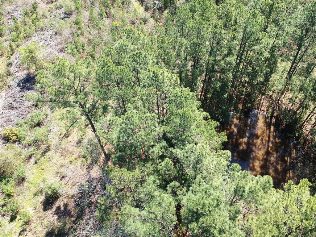 TBD County Road 2109  , Rusk, Texas image 19