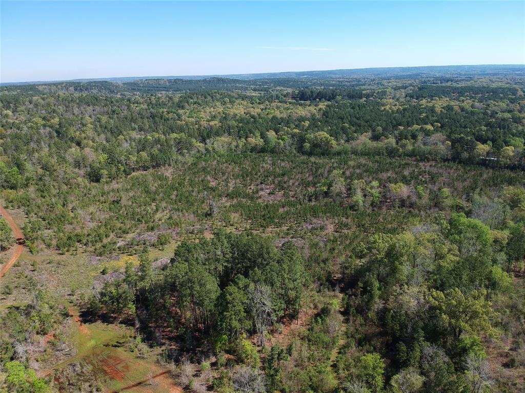 TBD County Road 2109  , Rusk, Texas image 23