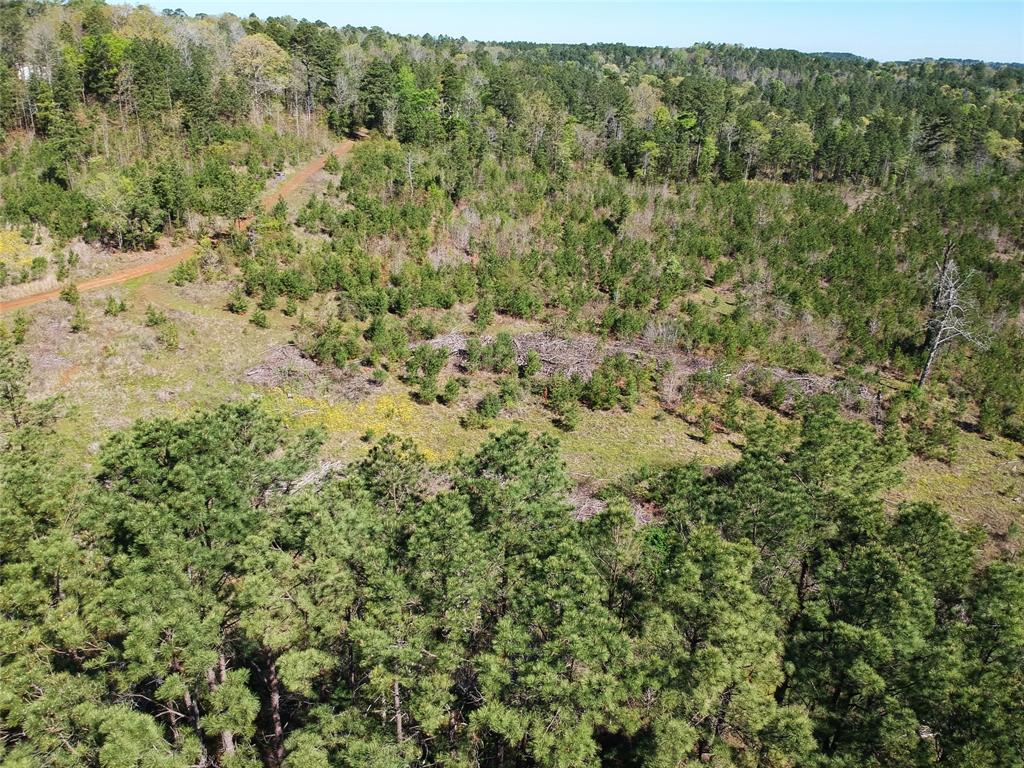 TBD County Road 2109  , Rusk, Texas image 28