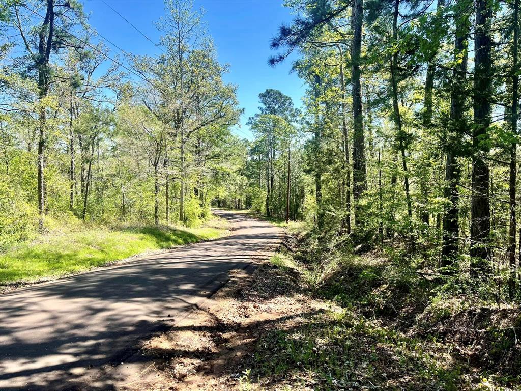 TBD County Road 2109  , Rusk, Texas image 30