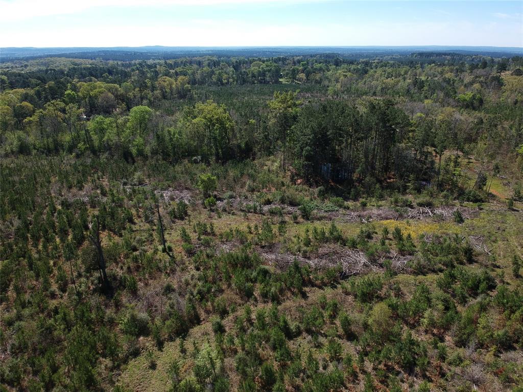 TBD County Road 2109  , Rusk, Texas image 4