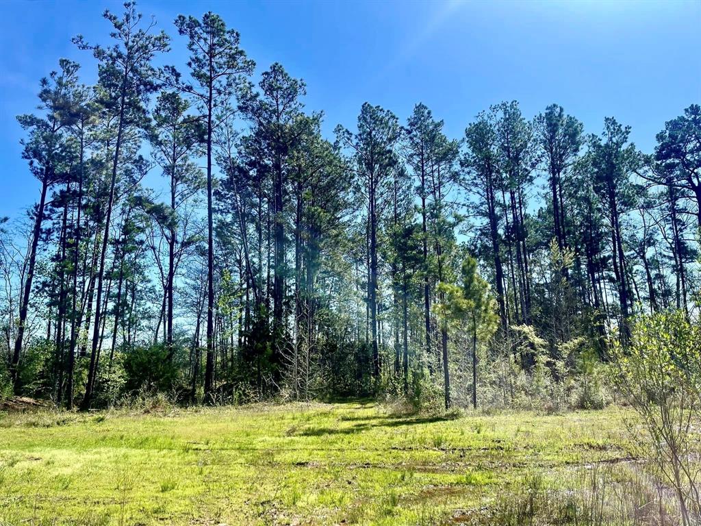 TBD County Road 2109  , Rusk, Texas image 32