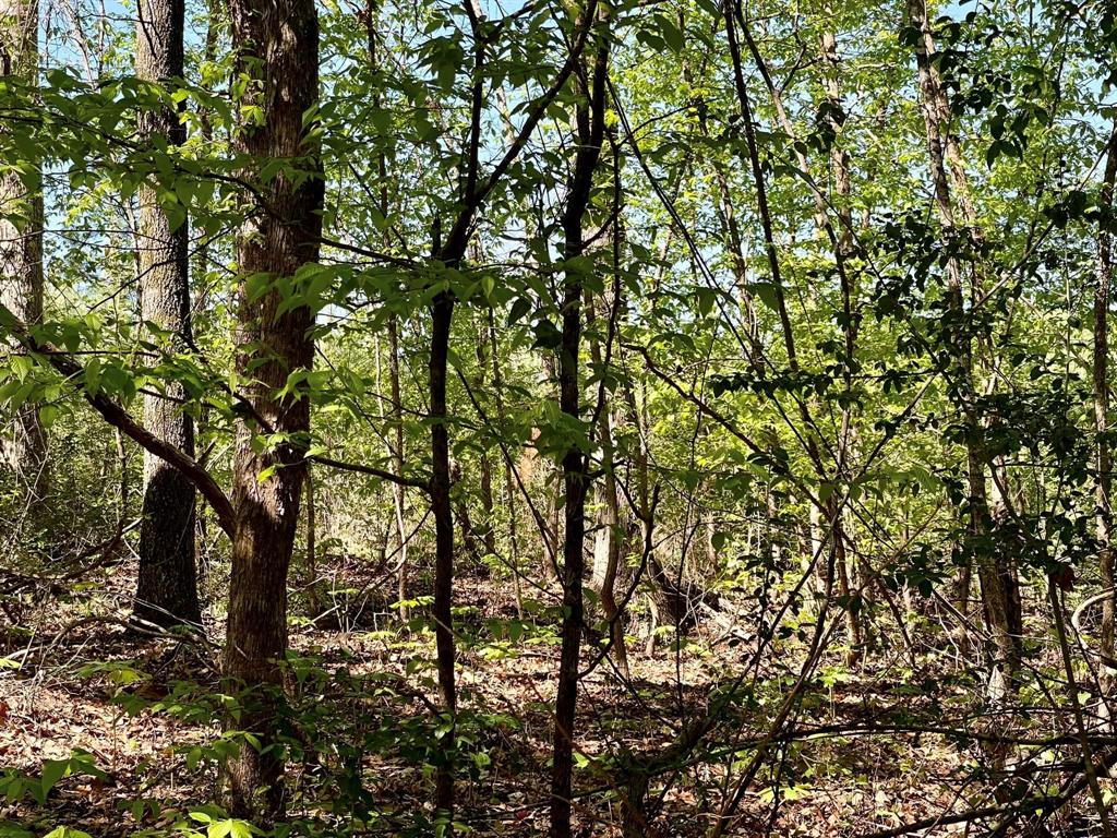 TBD County Road 2109  , Rusk, Texas image 33