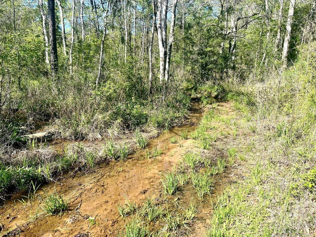 TBD County Road 2109  , Rusk, Texas image 36