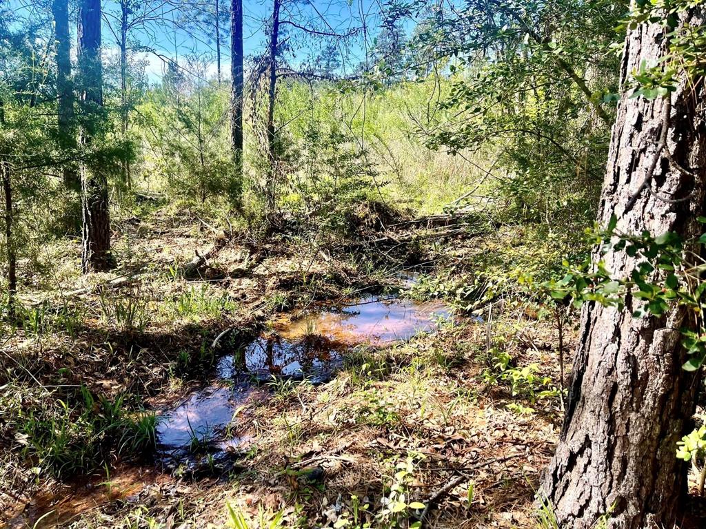 TBD County Road 2109  , Rusk, Texas image 37