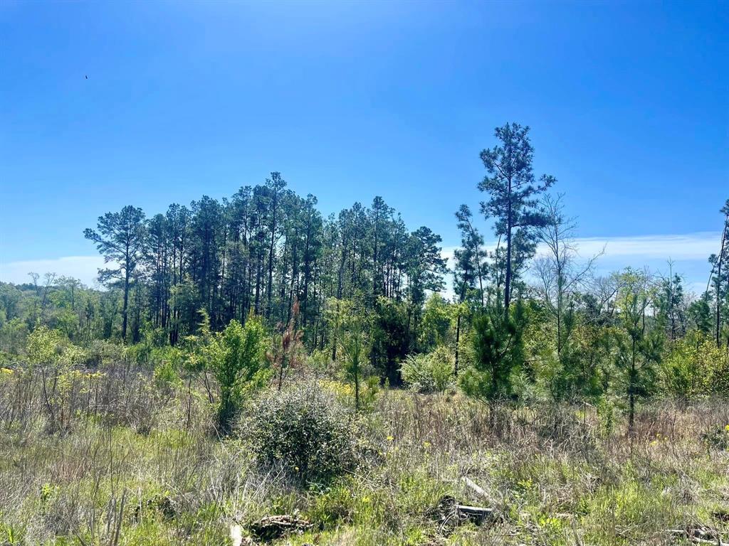 TBD County Road 2109  , Rusk, Texas image 39