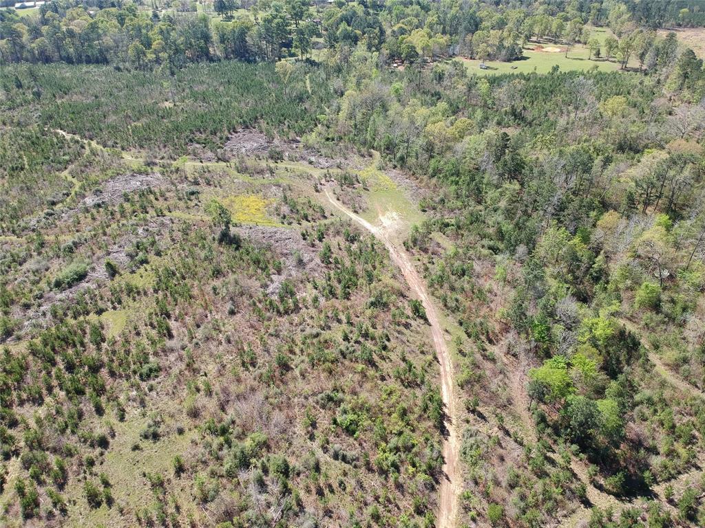 TBD County Road 2109  , Rusk, Texas image 6