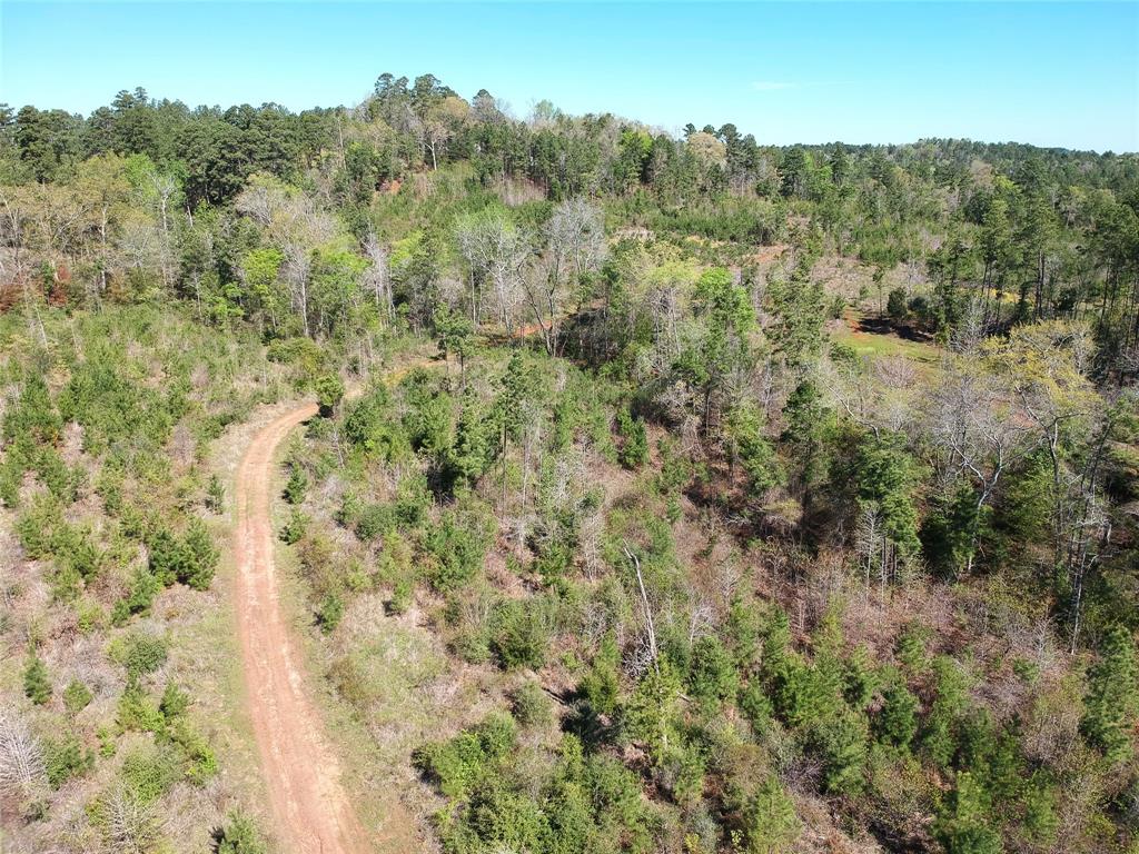 TBD County Road 2109  , Rusk, Texas image 7