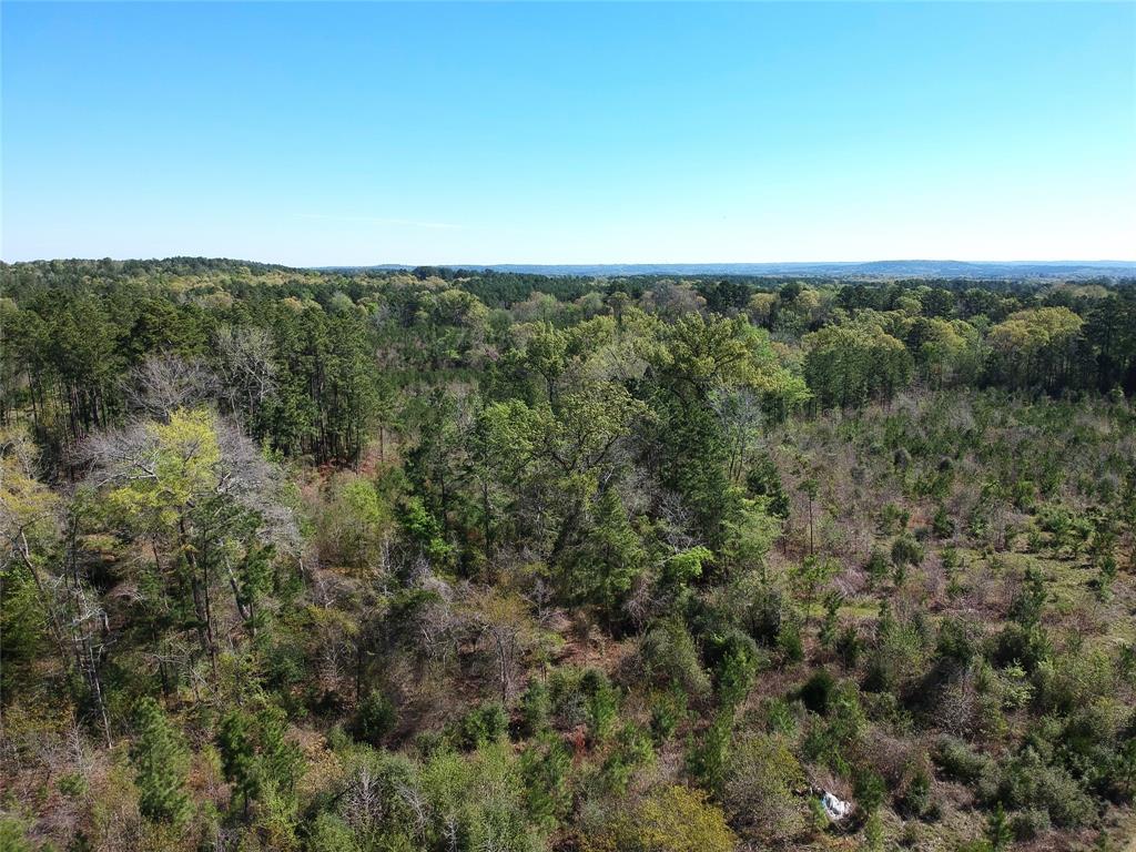 TBD County Road 2109  , Rusk, Texas image 8