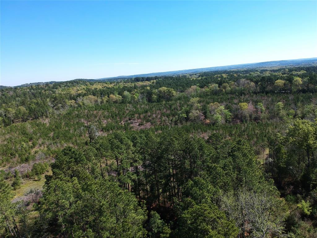 TBD County Road 2109  , Rusk, Texas image 9