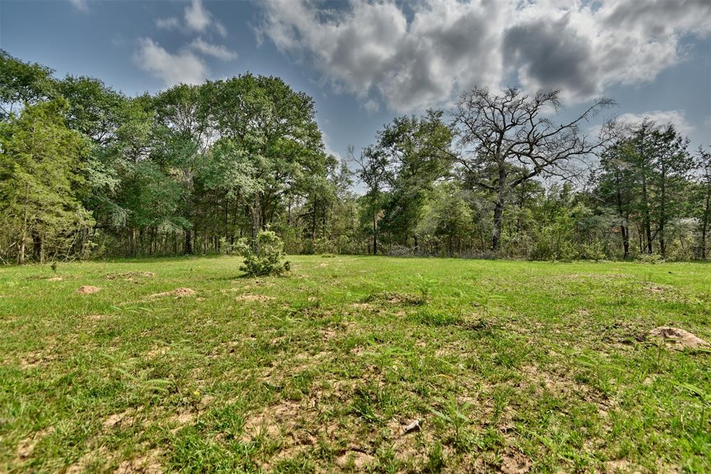 16929 Hinkel Road  , Cat Spring, Texas image 13