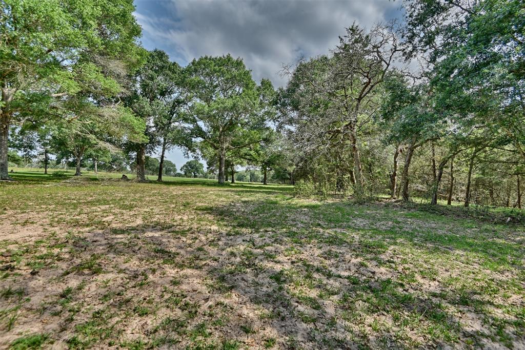 16929 Hinkel Road  , Cat Spring, Texas image 14