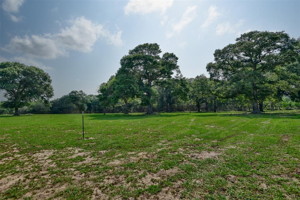 16929 Hinkel Road  , Cat Spring, Texas image 10