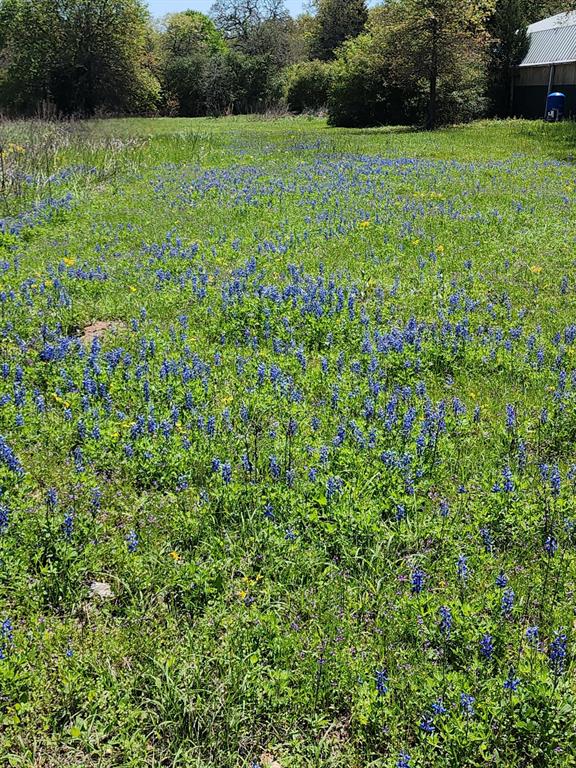 5100 Wood Duck Drive , Waelder, Texas image 21