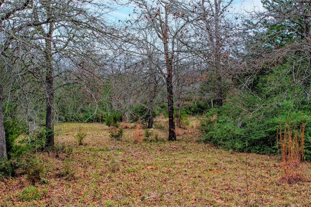 5100 Wood Duck Drive , Waelder, Texas image 23