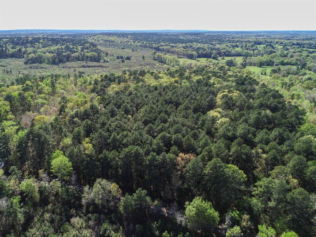 County Road 182  , Timpson, Texas image 4