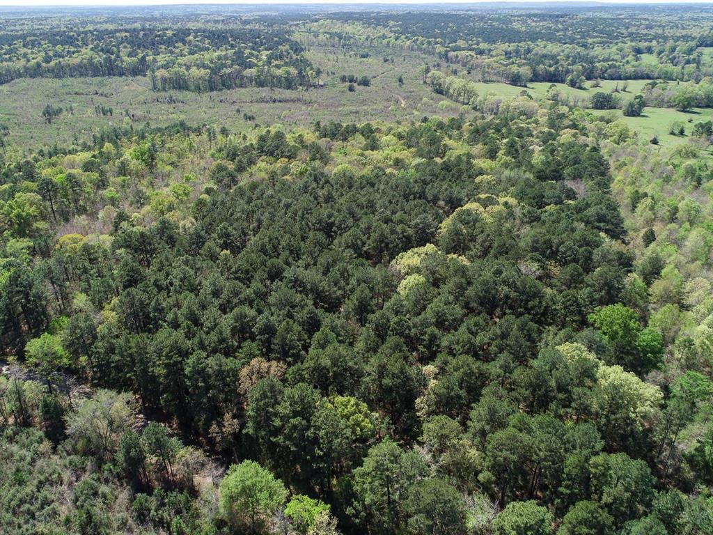 County Road 182  , Timpson, Texas image 6