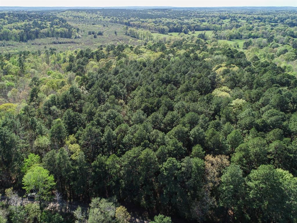 County Road 182  , Timpson, Texas image 8