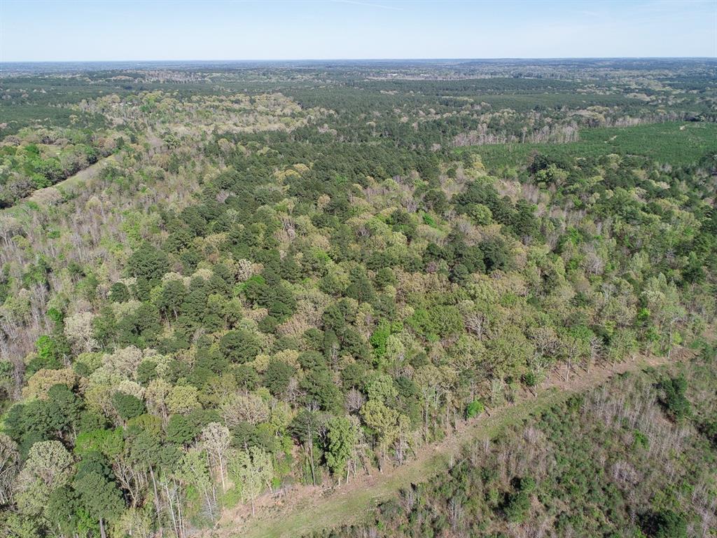 County Road 182  , Timpson, Texas image 10