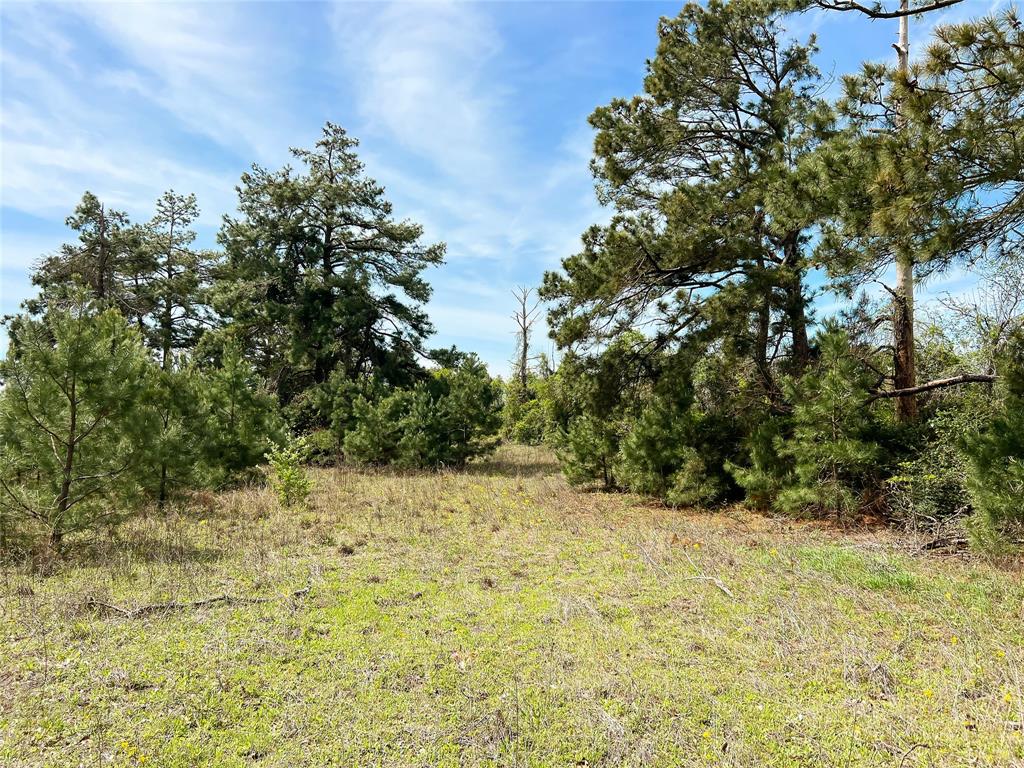 Tbd Cr 322  , Jewett, Texas image 14