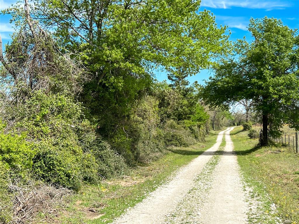 Tbd Cr 322  , Jewett, Texas image 16