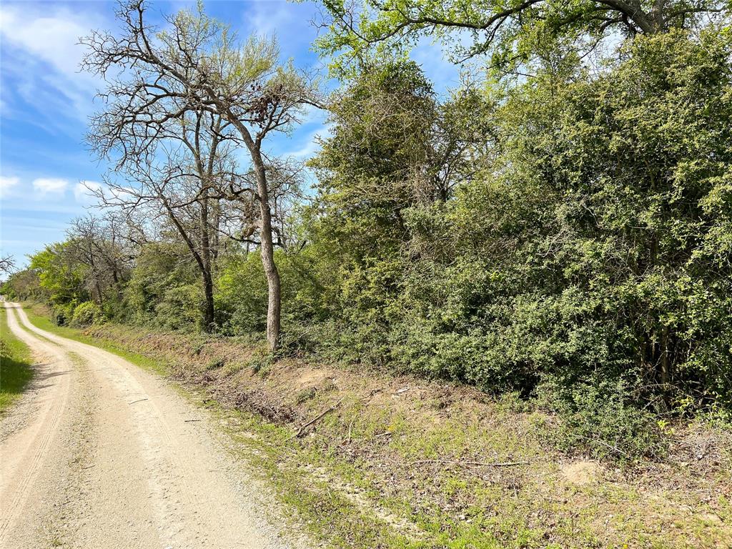 Tbd Cr 322  , Jewett, Texas image 4