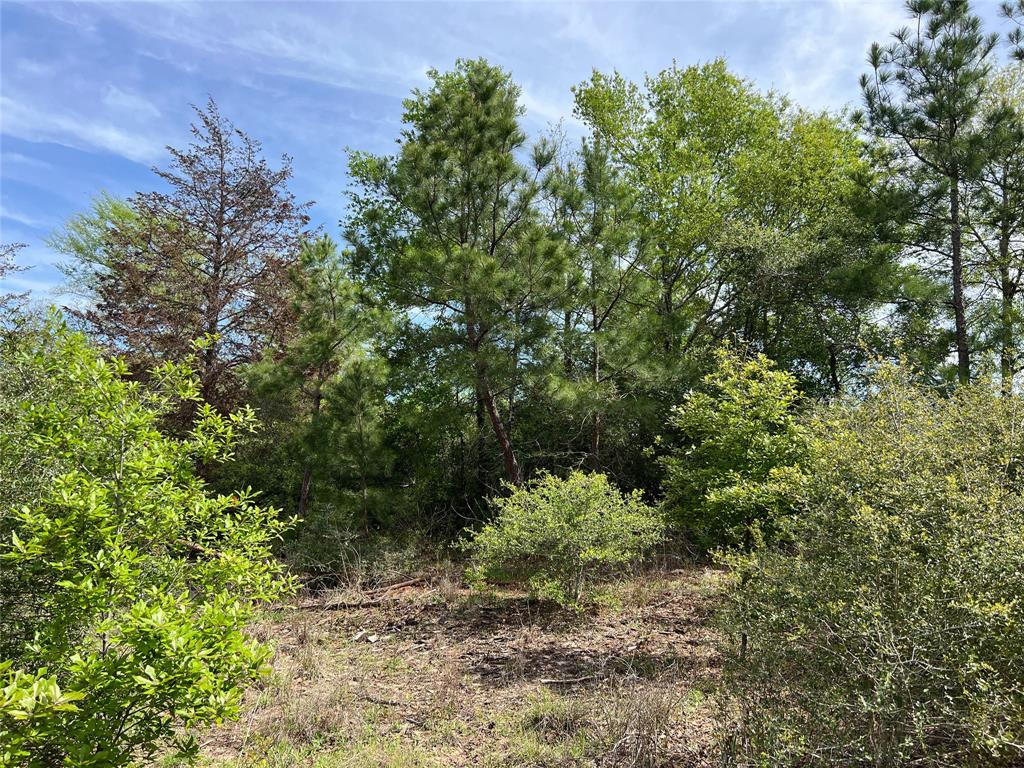 Tbd Cr 322  , Jewett, Texas image 6