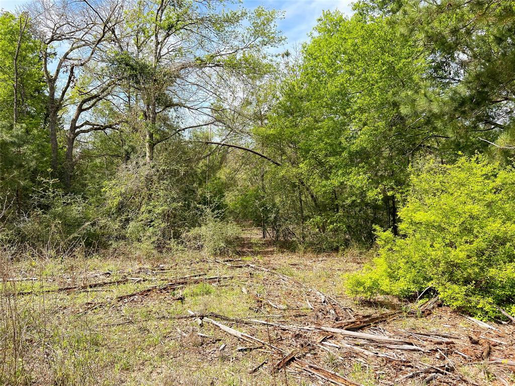 Tbd Cr 322  , Jewett, Texas image 7