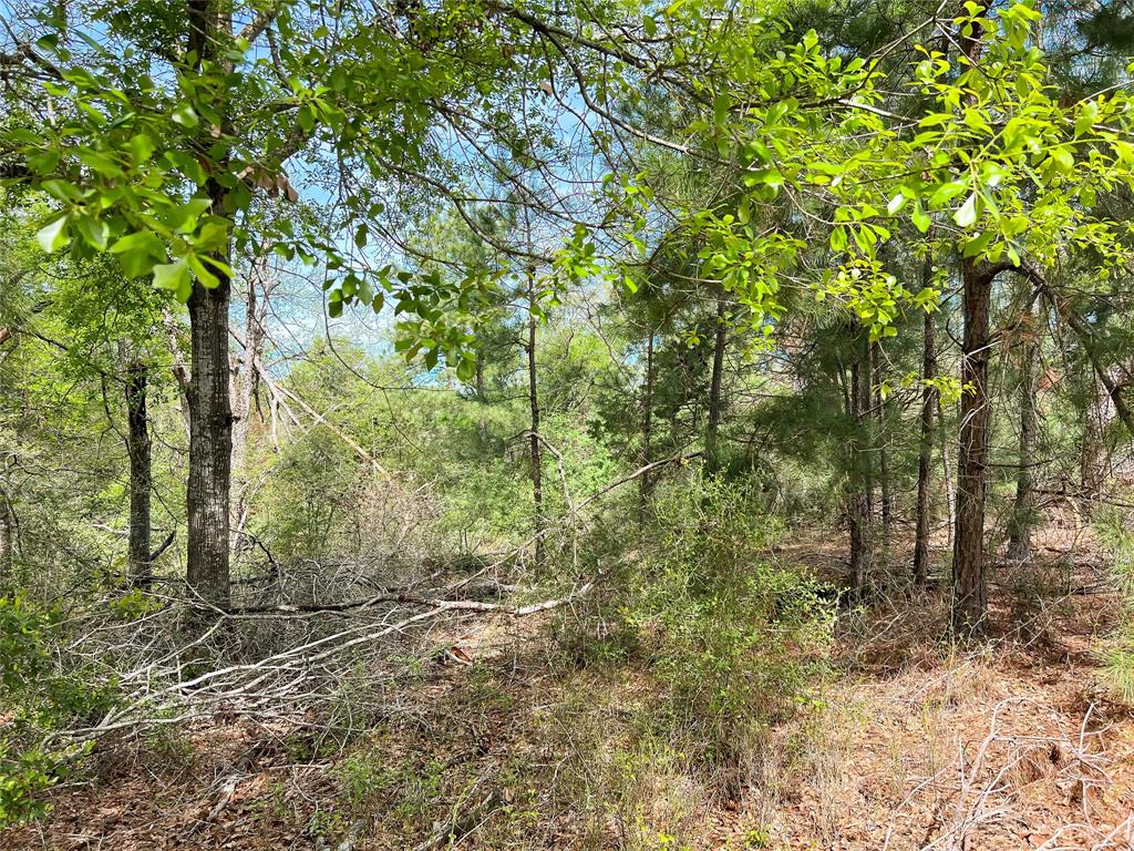 Tbd Cr 322  , Jewett, Texas image 8