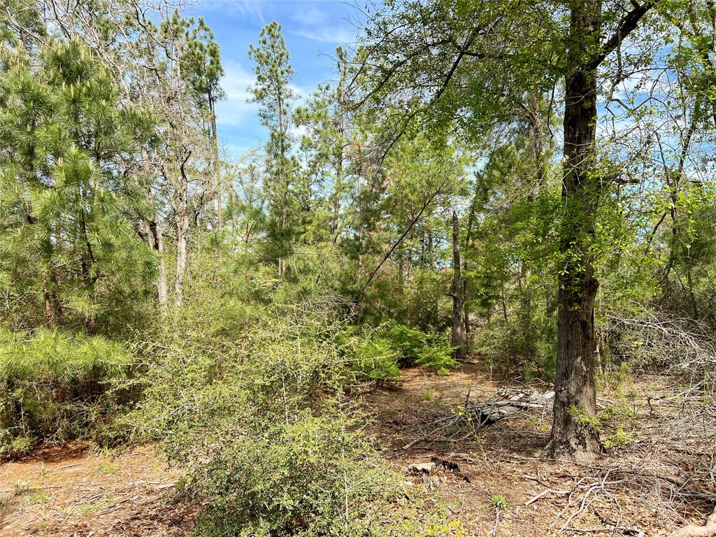 Tbd Cr 322  , Jewett, Texas image 9