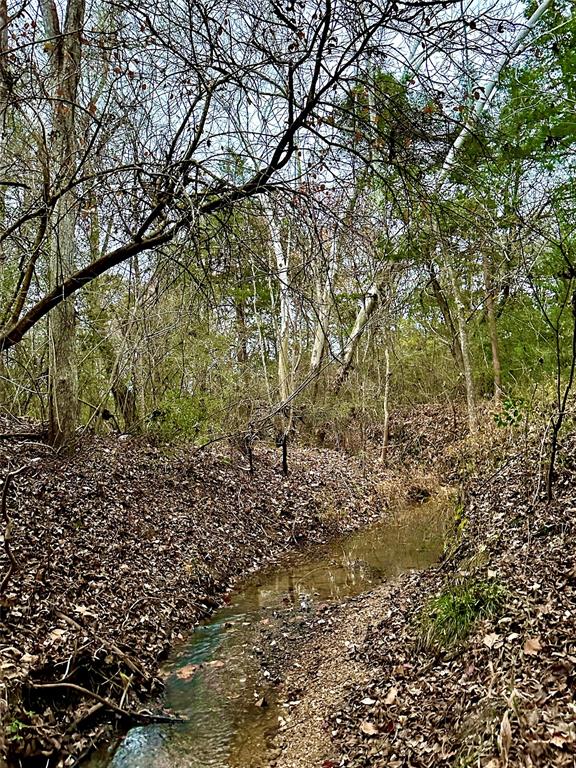 Lot 4 entry into wooded area